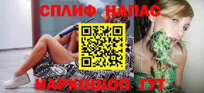 спиды Донской