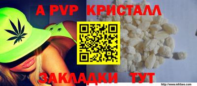 спиды Донской