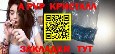 спиды Донской