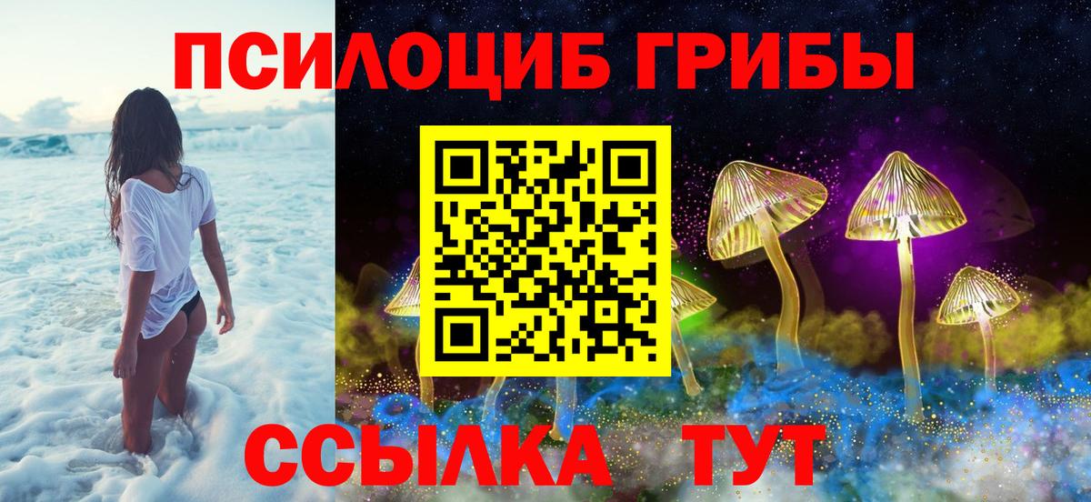 Псилоцибиновые грибы Psilocybine cubensis Мытищи