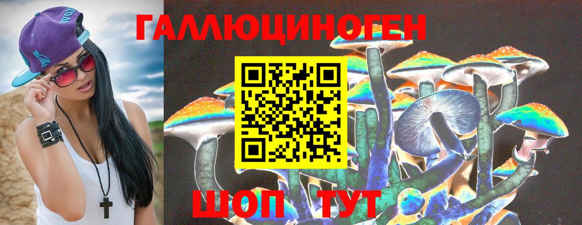 Псилоцибиновые грибы GOLDEN TEACHER  Галлюциногенные грибы прущие грибы  Мытищи  Вход с VPN 